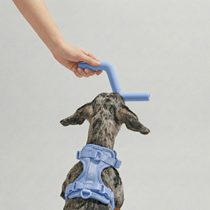 Hondenkauwstok van natuurlijk rubber, duurzaam, 2 maten, waterdicht, trainingsspeelgoed, kauwbot voor puppy's, interactief, op maat gemaakte kleur - Product Image 2