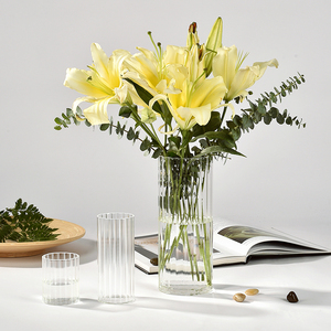 Grands vases décoratifs en verre pour centre de table, <span class=keywords><strong>design</strong></span> moderne, <span class=keywords><strong>vase</strong></span> de haute qualité en verre cylindrique isolé pour fleurs d'intérieur - Product Image 3