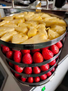 Industrial Vacuum Lyofilizer Freeze <strong>Dryer</strong> Machine 3kg 8 Kg 15 Kg 20kg 30kg 40kg 50kg 60kg 100kg 200kg 500 Kg - Product Image 5