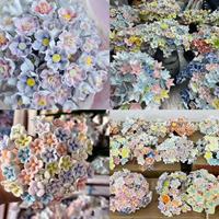 Fleurs en céramique de Jingdezhen, bouquet créatif DIY, petites fleurs, bouquet cadeau créatif, fleurs artificielles décoratives, vente en gros