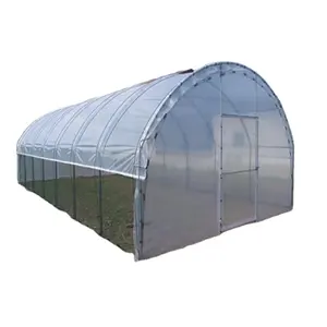 Cheap PE Plastic 150/200 Micron Film Single Span Film Tunnel Solar Greenhouse For Tomato and Cucumber