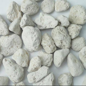 Piedra natural para plantas, piedra de grano carnoso, horticultura - Product Image 1