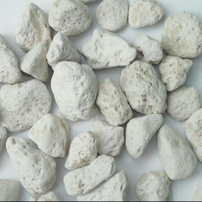Horticultural Pumice Grain Fleshy Planting Bottom