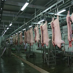 Planta de processamento de carne suína móvel com abattoir de porco