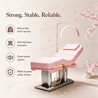 Camilla de Masaje de Lujo de Acero Inoxidable Plateado con Calefacción, Inclinación y 4 Motores, Cama Eléctrica para Tratamientos Faciales, Belleza, Médicos y de Salón de Pestañas