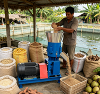 Nouvelle machine à granulés d'aliments pour volailles à haute efficacité et haute productivité, 300 kg/h, pour les petites exploitations agricoles, automatisation, faible besoins en main-d'œuvre