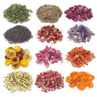 Thé de fleur de camomille séchée de qualité supérieure en stock tisane de fleurs de camomille Logo personnalisé thé de camomille en gros