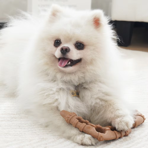 Jouets à mâcher pour chiens durables de qualité supérieure, fournis directement par l'usine, pour soulager l'ennui et stimuler l'utilisation quotidienne, os pour usage quotidien - Product Image 5