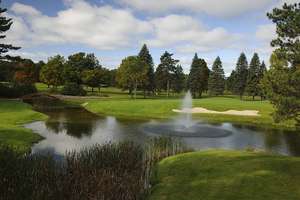 Cerdar forme d'arbre de glace de <span class=keywords><strong>golf</strong></span> <span class=keywords><strong>mini</strong></span> fontaine flottante pour le lac - Product Image 5