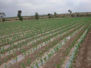 Chine filtre d'irrigation système d'irrigation goutte à goutte 1 <span class=keywords><strong>hectare</strong></span> - Product Image 2
