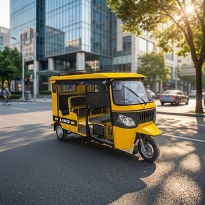 Tricycle de luxe à double rangée, moteur 250cc, idéal pour la location et le transport de passagers - Product Image 1