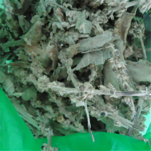 100%天然牛蒡草药粉/片，新鲜干燥，价格优惠 - Product Image 6