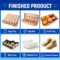 Mesin produksi tray telur otomatis penuh, pembuat tray telur menggunakan bubur kertas daur ulang, mesin tray cup