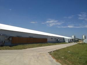 Estrutura de aço projeto casa de galinha aves fazenda - Product Image 4