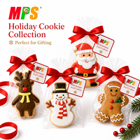Biscuits décorés de Noël Bonhomme de pain d'épice Biscuits croustillants sucrés