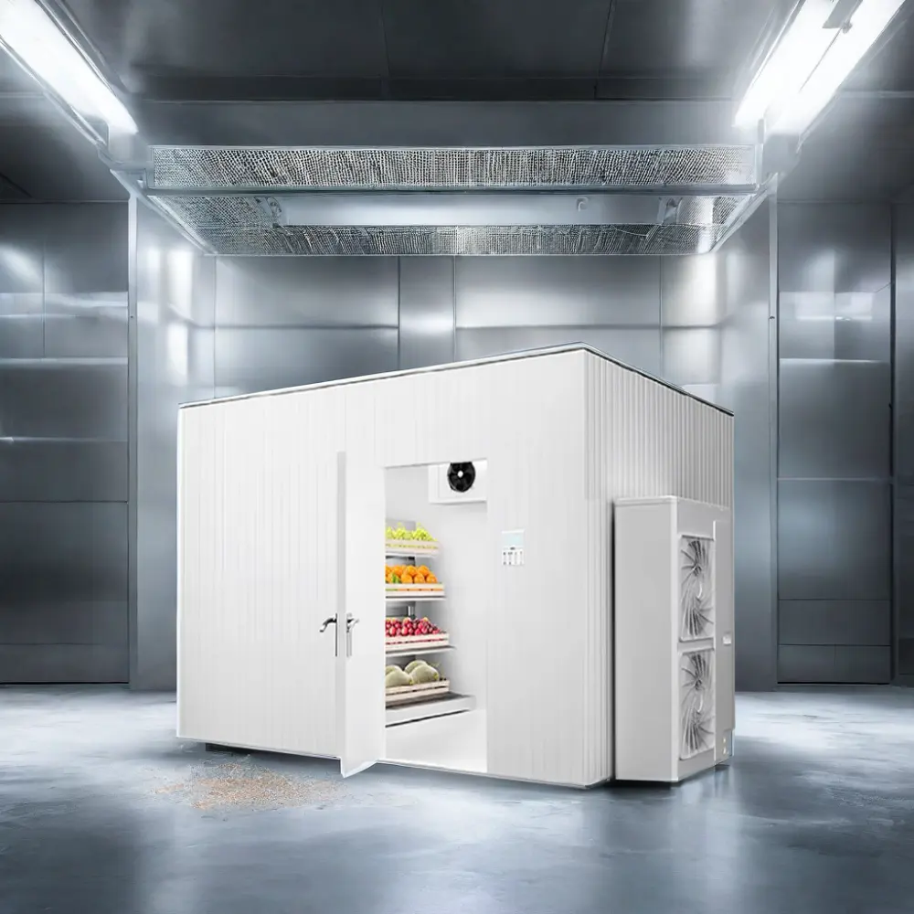 正確な温度制御を備えたシーフード食品用のカスタマイズ可能な冷蔵室保管