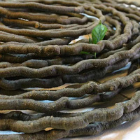 Vignes artificielles en PVC pour terrariums de forêt tropicale, décorations pour reptiles, branches de fleurs séchées, décoration de cour
