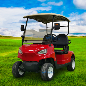 Carrito de Golf Eléctrico de 2 Plazas, Color Personalizable, Mini Buggy de Bajo Ruido, Radio de Giro Pequeño, para Zonas Turísticas y Resorts - Product Image 2