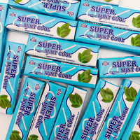 Super Viviga Factory Vente en gros de chewing-gum à la menthe douce personnalisé en bâtonnets rectangulaires mini, fraîcheur mentholée