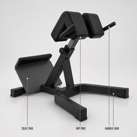 Chaise romaine commerciale pour la musculation, banc d'hyperextension pour la gym, banc d'extension dorsale avec barre de poignée réglable