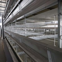 Dernier modèle de cage pour volailles : cage automatique pour poulets de chair et poules pondeuses