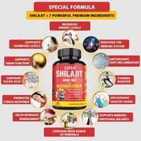 Offre Spéciale : Capsules de Shilajit – 85 Oligo-éléments, Shilajit avec extrait de Chaga, Ginseng et Maca