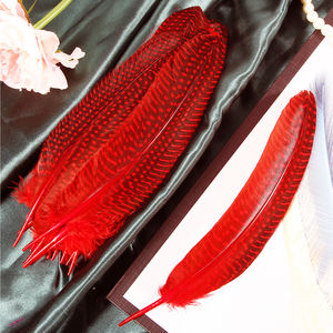 Coloré guinée AILE Plumage Couleur Mixte pour Chapeau Vêtements Accessoire Conception Décoration Fête De Mariage Célébration Choses - Product Image 1