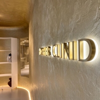 Enseigne lumineuse LED personnalisée Carrey Sign pour intérieur, enseigne de luxe pour grand magasin, enseigne de chaîne de magasins, enseigne lumineuse pour publicité