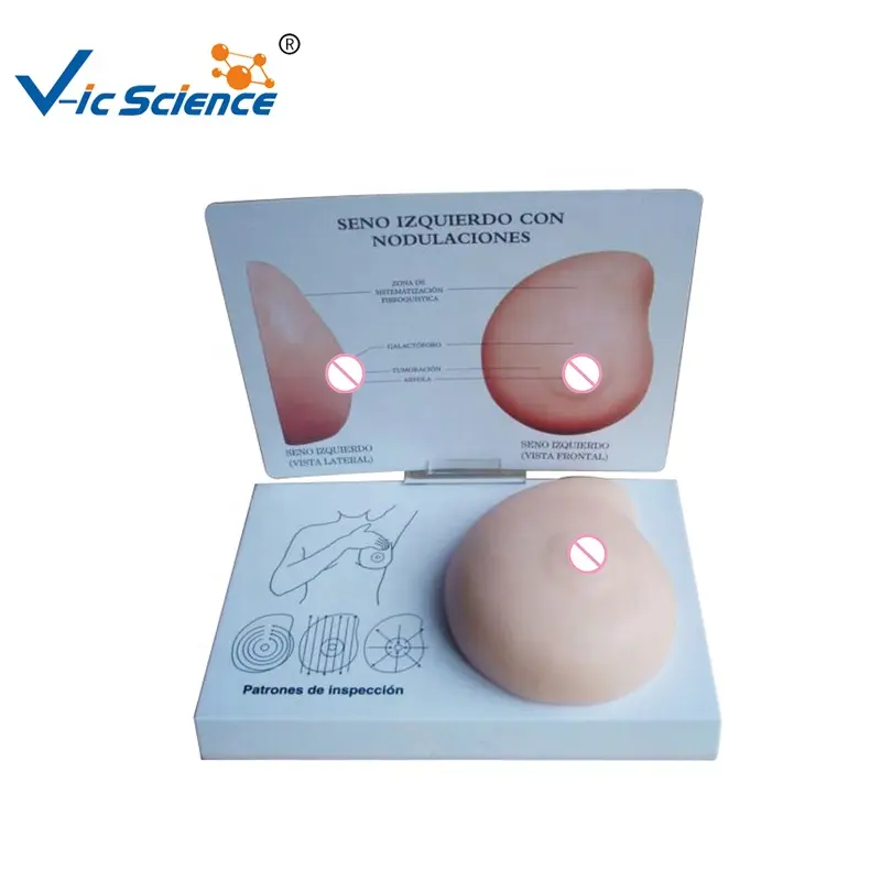 medical anatomical model Medical Supplies Human Female Breast Examination Teaching Model medical science education model