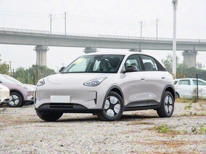 Modello 2026 310km Edizione Giovani <span class=keywords><strong>Auto</strong></span> Elettrica Compatta Urbana a Nuova Energia Conveniente - Product Image 5