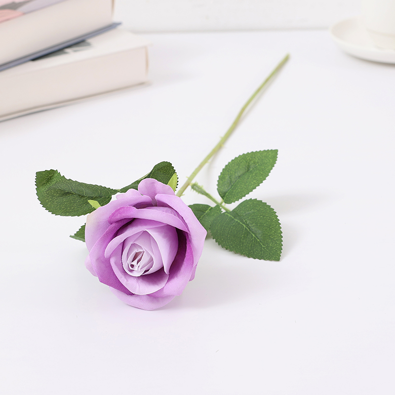 Pourpre