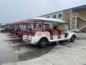 Fabricant d'origine de voitures de tourisme rétro | Approuvé CE | Parfait pour les hôtels, les mariages et les visites de loisirs - Product Image 6