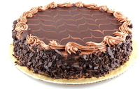 Itop — rasoir à chocolat automatique, pour boulanger, pâtisserie, fabrication