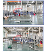 5kg 10kg 25kg 30kg 50kg ensacheuse quantitative Machine d'emballage sacs à coudre ciment Pack Machine farine ensacheuse Machine
