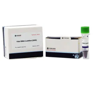 1 Kb DNA Ladder For DNA Fragment Electrophoresis Detection Scientific Research Reagent DNA Marker