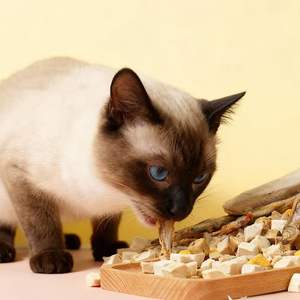 OEM ODM Chine Aliments pour animaux de compagnie lyophilisés à bas prix, diverses saveurs et formes, teneur élevée en protéines, friandises pour chats et chiens, nourriture sèche pour chiens 1 kg - Product Image 2