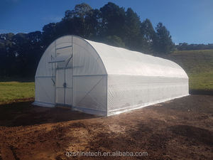 Serre de 300 mètres carrés prête <span class=keywords><strong>à</strong></span> être expédiée, serre tunnel <span class=keywords><strong>à</strong></span> simple portée <span class=keywords><strong>à</strong></span> faible coût, serre pour légumes, serre <span class=keywords><strong>à</strong></span> <span class=keywords><strong>vendre</strong></span> - Product Image 3