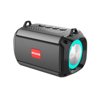   Enceinte portable étanche pour camping avec lumière LED RGB, subwoofer et sangle de transport pour fêtes en extérieur