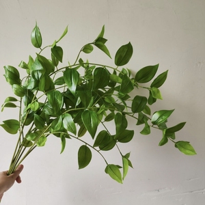 Nuove Piante Artificiali Realistiche al Tatto per Composizioni Floreali e Decorazioni <span class=keywords><strong>d</strong></span>'<span class=keywords><strong>Interni</strong></span> - Product Image 1