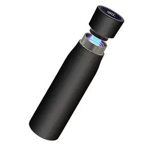 Vente chaude produits 2024 bouteille d'eau autonettoyante écologique 316 rappel thermos en acier inoxydable verres intelligents