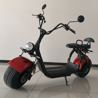 EEC COC a approuvé la batterie de vélo électrique de scooter de 1500w Scooters électriques de Citycoco 3000W pour des adultes
