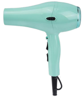 Sèche-cheveux professionnel Ronggui électrique AC 1800-2100W haute puissance en plastique pour salon, deux vitesses, avec buse concentratrice et réglage de la température