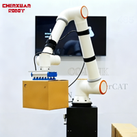 Cobot de Paletización Colaborativo de 6 Ejes, Económico, Robot Compacto con Pinza de Succión para Manipulación de Cartones en Talleres de Empaquetado