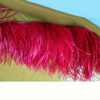 Tissu à coudre fait à la main ruban ruban frange plumes d'autruche garniture pour bricolage artisanat vêtements robe Costume chaussure accessoires fête maison