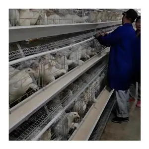 Hot sale Galvanized Poultry Farming Raising Hens Battery Egg layer chicken cage