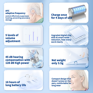Duurzame 16-kanaals Digitale Hoortoestellen Comfortabele Multi-Mode Ruisonderdrukking Audifoons Voor Oudere Dove Geluidsversterker - Product Image 3