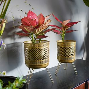 Novedad en Stock: Soportes Metálicos Vintage de Hierro Forjado para Plantas, Estantes de Exhibición para Macetas y Almacenamiento para Hogar y Jardín - Product Image 2