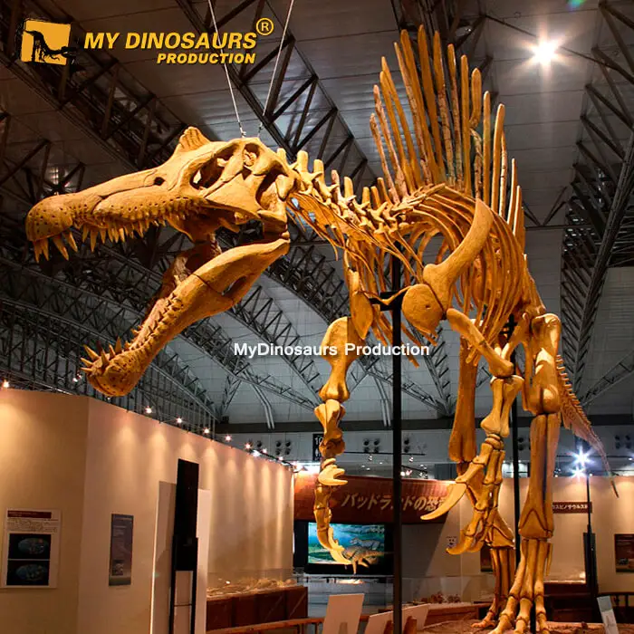 Mi Dino realista dinosaurio Spinosaurus modelo de esqueleto para museo