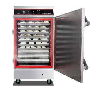 Hotels Digital Display Electric Electric And Gas Heating Rice Steamer Cabinet/Steamed Stuffed Bun/ Intelligent Timing Food Cooke