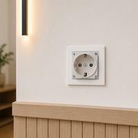 Prise de courant commerciale AC 2 broches Schuko, module de prise de courant encastré européen 16A 250V